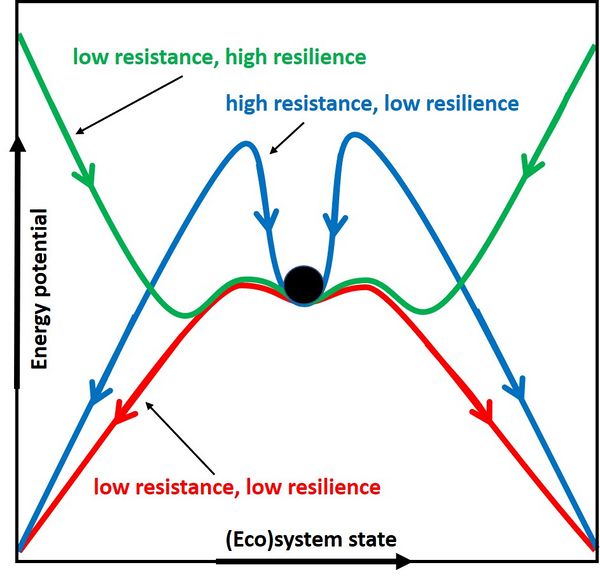 Resilience And Resistance - Coastal Wiki