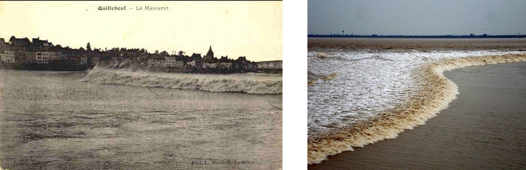 Tidal Bore Dynamics - Coastal Wiki