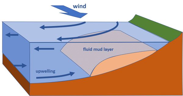 Coastal mud belt - Coastal Wiki