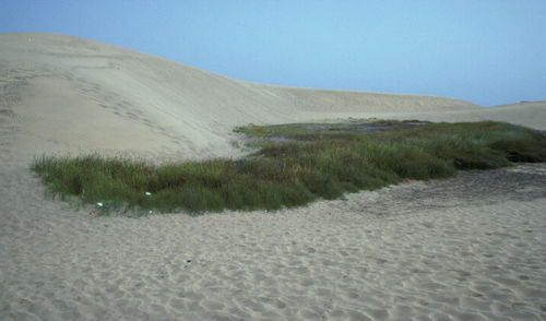 Sand Dunes in Europe - Coastal Wiki