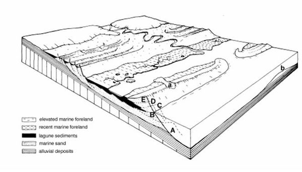 Classification of sandy coastlines - Coastal Wiki