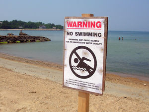 Possible consequences of eutrophication - Coastal Wiki