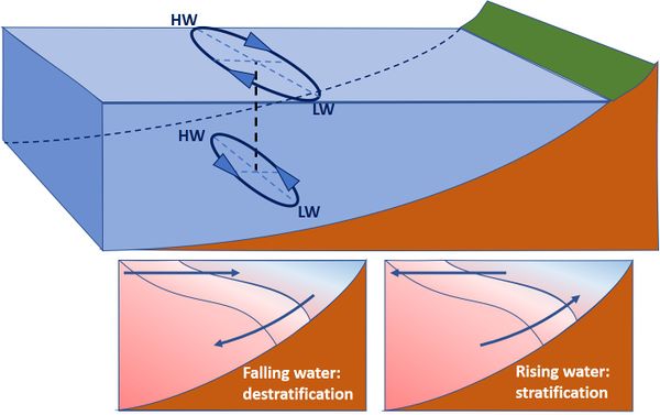 Coastal mud belt - Coastal Wiki