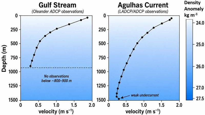 File:WesternBoundaryCurrents.jpg