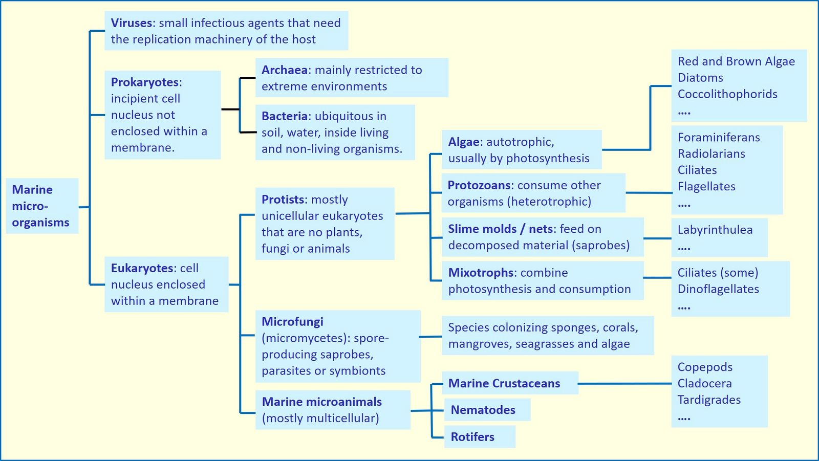 Marine microorganisms - Coastal Wiki