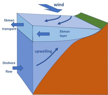 Ocean circulation - Coastal Wiki